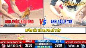 Trận 35 CPC3 1/4/2025