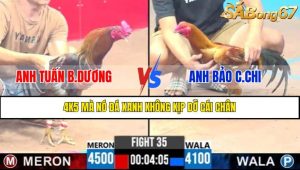 Trận 35 CPC3 13/4/2025