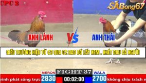 Trận 37 CPC2 4/4/2025