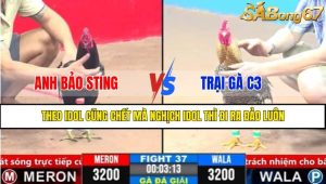 Trận 37 CPC3 1/4/2025