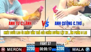 Trận 37 CPC3 13/4/2025