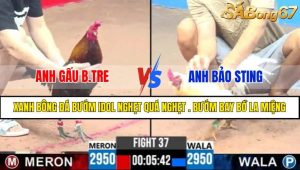 TRẬN 37 CPC3 22/4/2025