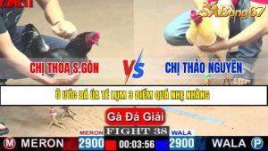 Trận 38 CPC1 10/4/2025