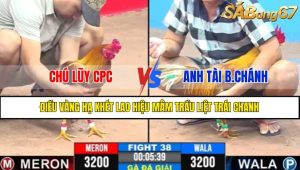 TRẬN 38 CPC3 22/4/2025