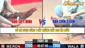 Trận 38 CPC3 9/4/2025