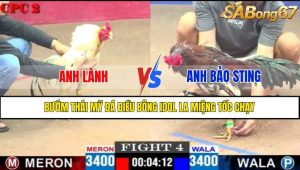 Trận 4 CPC2 11/4/2025