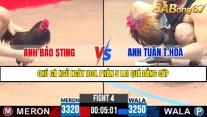TRẬN 4 CPC3 22/4/2025