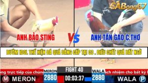 Trận 40 CPC3 1/4/2025