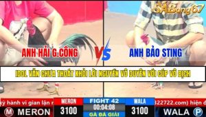 Trận 42 CPC3 1/4/2025
