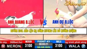 Trận 43 CPC3 1/4/2025