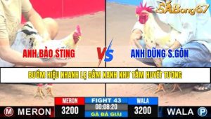 TRẬN 43 CPC3 22/4/2025
