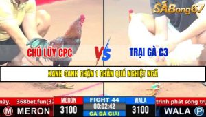 Trận 44 CPC3 1/4/2025