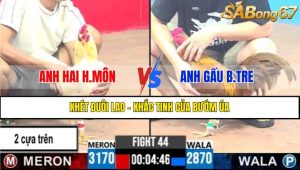 Trận 44 CPC3 9/4/2025