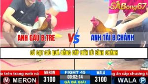 Trận 45 CPC3 1/4/2025