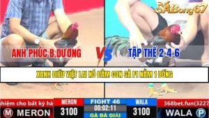 Trận 46 CPC3 1/4/2025