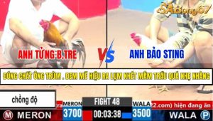 Trận 48 CPC3 1/4/2025