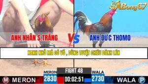 TRẬN 48 CPC3 19/4/2025
