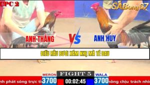Trận 5 CPC1 2/4/2025