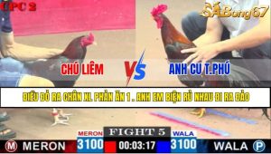 Trận 5 CPC2 13/4/2025