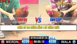 TRẬN 5 CPC2 20/4/2025