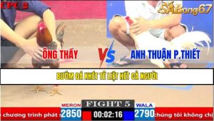 Trận 5 CPC2 4/4/2025