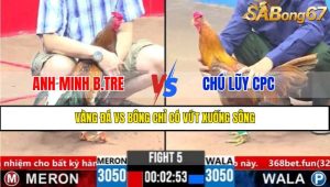 Trận 5 CPC3 1/4/2025