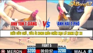 Trận 5 CPC3 13/4/2025