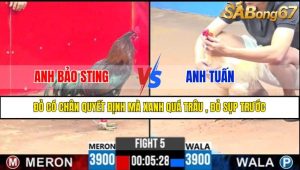 TRẬN 5 CPC3 22/4/2025