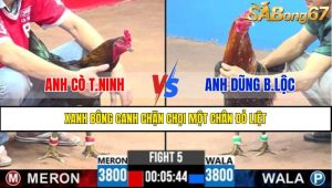 TRẬN 5 CPC3 23/4/2025