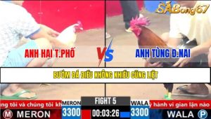 Trận 5 CPC3 6/4/2025