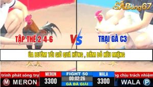 Trận 50 CPC3 1/4/2025