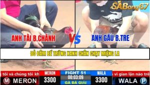 Trận 51 CPC3 1/4/2025