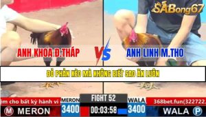 Trận 52 CPC3 3/4/2025