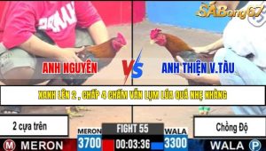TRẬN 55 CPC3 19/4/2025