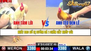 Trận 6 CPC1 10/4/2025