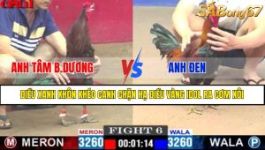 TRẬN 6 CPC1 17/4/2025