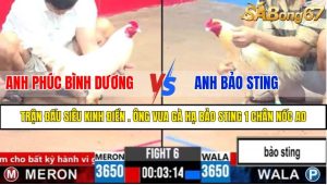 Trận 6 CPC3 1/4/2025