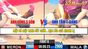 Trận 6 CPC3 13/4/2025