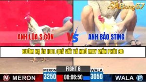 TRẬN 6 CPC3 22/4/2025