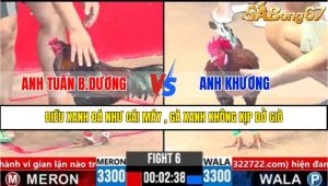 Trận 6 CPC3 5/4/2025