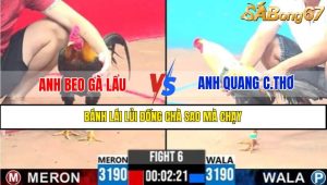 Trận 6 CPC3 9/4/2025