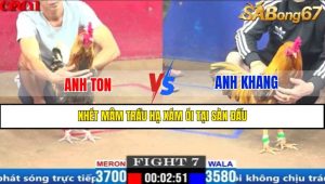 Trận 7 CPC1 3/4/2025