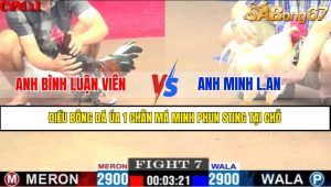 Trận 7 CPC1 8/4/2025
