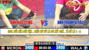 Trận 7 CPC2 11/4/2025