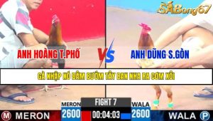Trận 7 CPC3 10/4/2025