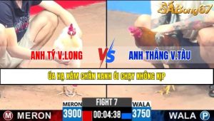 TRẬN 7 CPC3 16/4/2025