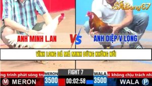 Trận 7 CPC3 2/4/2025