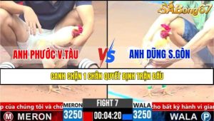 Trận 7 CPC3 3/4/2025
