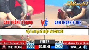 Trận 7 CPC3 4/4/2025