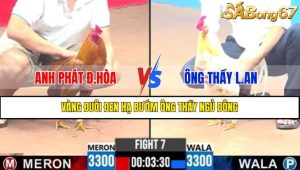 Trận 7 CPC3 9/4/2025
